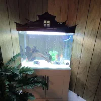 آکواریوم شیشه خم با میز و سایل