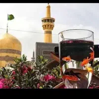 تور ریلی ویژه مشهد مقدس