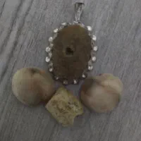 مهره‌های اصلی