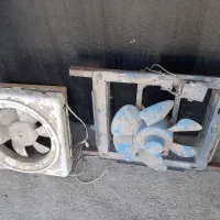 فن به شرط سالمی