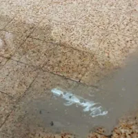 کف شور ساب زن کفساب