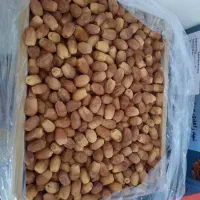 فروش ۵تن قصب درجه ۱|خوردنی و آشامیدنی|قیروکارزین, |دیوار