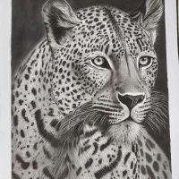 طراحی چهره|تابلو، نقاشی، عکس|خمین, |دیوار