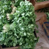 به تعدادی نیرو جهت کار در شرکت بسته بندی نیازمندیم