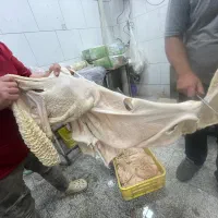 سیراب اعلا|خوردنی و آشامیدنی|اصفهان, سرتاوه|دیوار