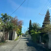 ۹۴۸ متر زمین امامرود کوچه شقایق