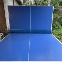 میز پینگ پنگ
