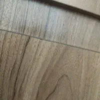 یک قطعه طلا پیدا شده