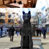 سفروان ترکیه فقط با3/000/000