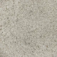 برنج فجر سوزنی