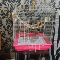 قفس پرنده|لوازم جانبی حیوانات|تهران, والفجر (افسریه)|دیوار