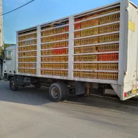 بادسان ۸ تن مدل ۸۳ بدون رنگ اتاق مرغی|خودرو سنگین|سرخرود, |دیوار