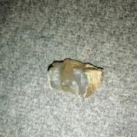 سنگ های راف عقیق و شجر طبیعی|جواهرات|شیراز, گود عربان|دیوار