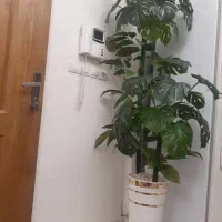 درخچه|گل مصنوعی|قدس, شهرقدس|دیوار