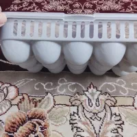 ظرف برای تخم مرغ دو تا نو|ظروف نگهدارنده، پلاستیکی، یک‌بارمصرف|مشهد, گاز|دیوار