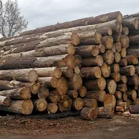 خرید انواع درخت و هرس کردن آن