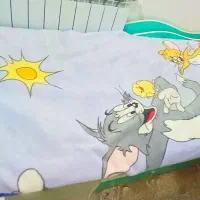 تخت و کمد کودک ‌نوجوان|تخت و سرویس خواب|دامغان, |دیوار