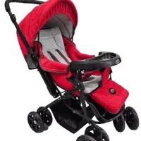 کالسکه مارک دلیجان