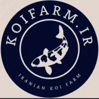 فروش کوی مولد نژاد و تایلندی