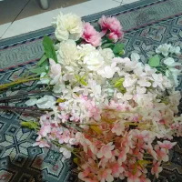 گل شکوفه|گل مصنوعی|گلبهار, شهر جدید گلبهار|دیوار