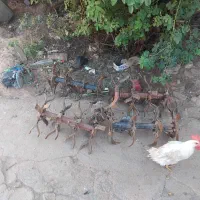تیلر‌چهارشاخ‌زنی‌وتریلی‌باتمام‌لوازم‌موجود۹‌ونیم‌|ابزارآلات|تربت جام, میان جام|دیوار