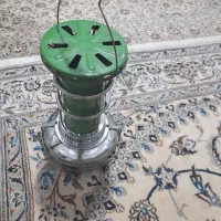 علاالدین عالی نسب در حد