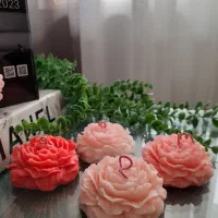 شمع،باکس گل هدیه،گیفت مدارس، جشن عبادت|صنایع دستی و سایر لوازم تزئینی|مشهد, شهید رضوی|دیوار