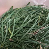 سیرموک تازه