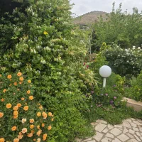 زمین-1200متری-جاده-صدرا