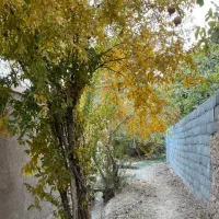اجاره خانه باغ در مهریز|اجارهٔ کوتاه‌مدت ویلا و باغ|مهریز, |دیوار