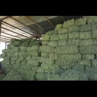 ۲ تن یونجه پرس واقع در ظفر اباد باغ های فدک