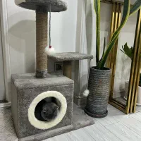 اسکرچر جای خواب گربه|لوازم جانبی حیوانات|تهران, کوی بیمه|دیوار