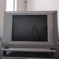 تلویزیون