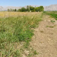 زمین  ۸۰۰ متری سند دار کهریز الهیه|فروش زمین و ملک کلنگی|کرمانشاه, |دیوار