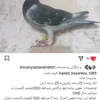 نروماده مولدمسافتی|پرنده|تاکستان, |دیوار