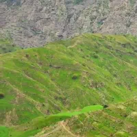 زمین ۳۰۰ متری پارک پردیس