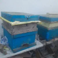 فروش ۲کندوی زنبور عسل