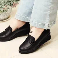 کفش نو|کیف، کفش، کمربند|پاکدشت, حصار امیر|دیوار