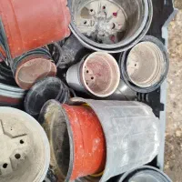 حراج  همه این گلدانها وگلها باهم جهارصد