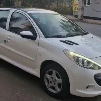 ۲۰۷پانا درحدخشک