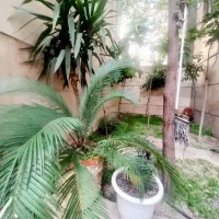 سبلان-شمالی-مطلب-نژاد128مترفول-امکانات3خوابه-عالی