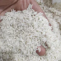 برنج هاشمی خالص ناب