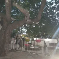 سوییت،سویت،سوئیت،ویلا|اجارهٔ کوتاه‌مدت آپارتمان و سوئیت|کرج, شهرک بهارستان|دیوار