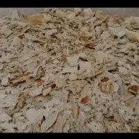 نان خشک الرام