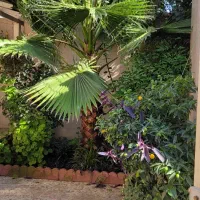 ویلایی ۳ خواب دربست ( ماه و خورشید)