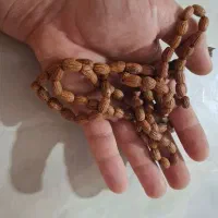 تسبیح هسته زیتون مخصوص ذکر|جواهرات|تهران, شیخ هادی|دیوار