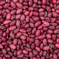 لوبیا قرمز امسال