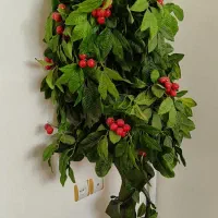 گل درختی مصنوعی|گل مصنوعی|تبریز, |دیوار