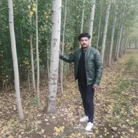 صنوبرکاری، تبدیل سرمایه کم به سود کلان