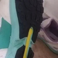 کتونی|کیف، کفش، کمربند|رشت, دیلمان|دیوار